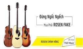 5 Dấu Hiệu Nhận Biết Đàn Guitar Rosen Thật Hay Fake?
